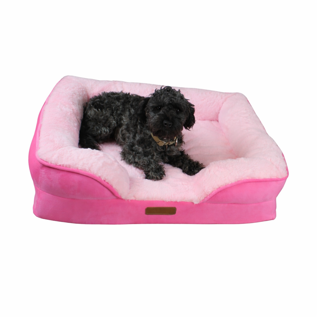 Cama Ortopédica con Borde