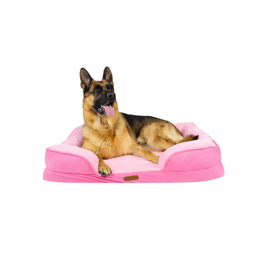 Cama Ortopédica con Borde