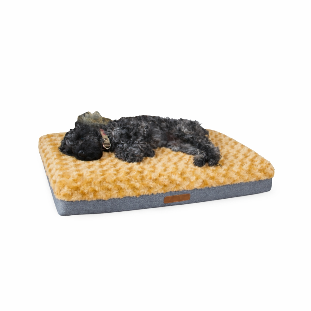 Cama Ortopédica