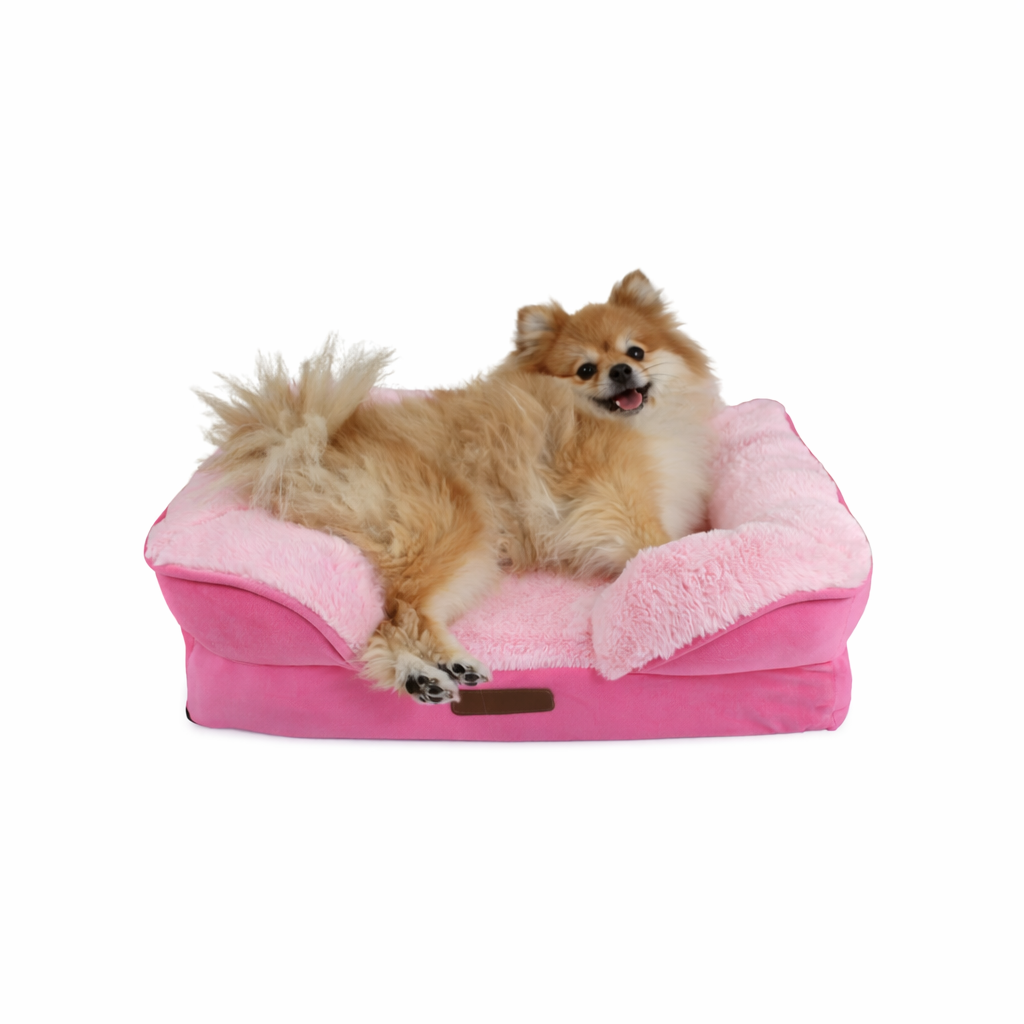 Cama Ortopédica con Borde