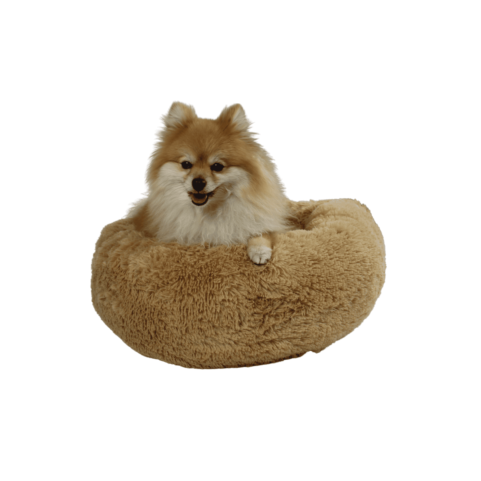 Cama Antiestrés para Perros