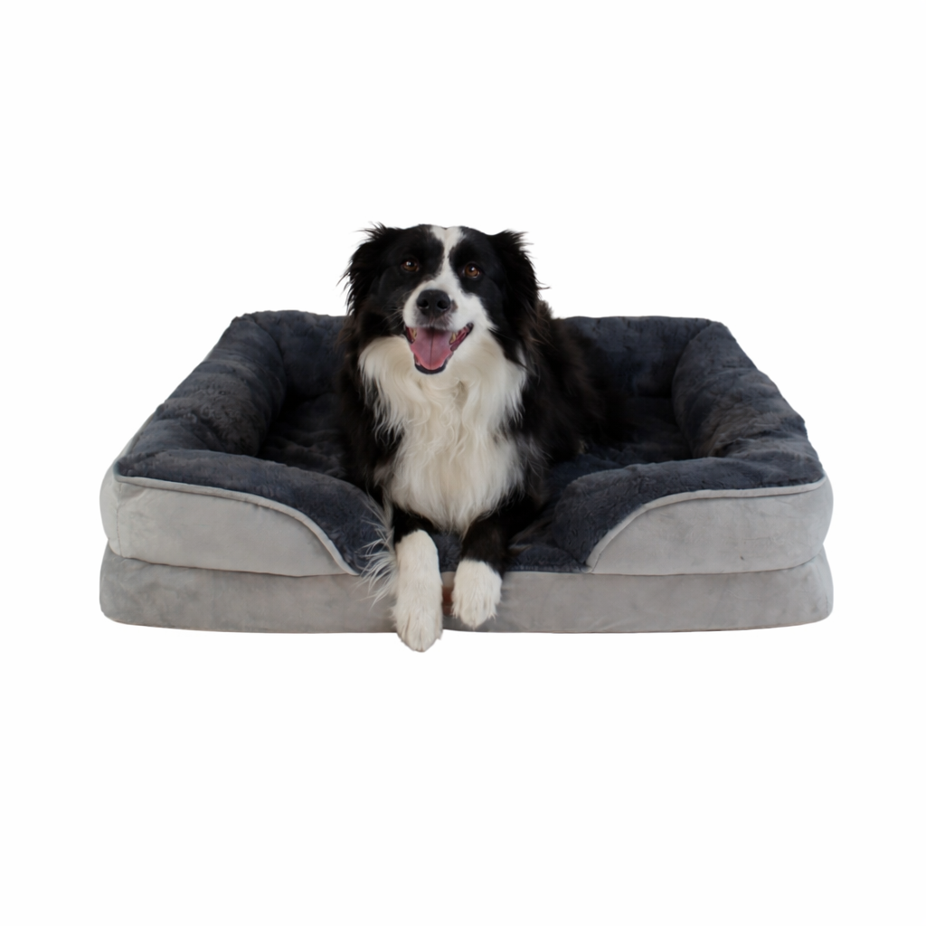 Cama Ortopédica con Borde