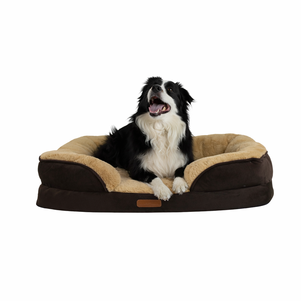 Cama Ortopédica con Borde