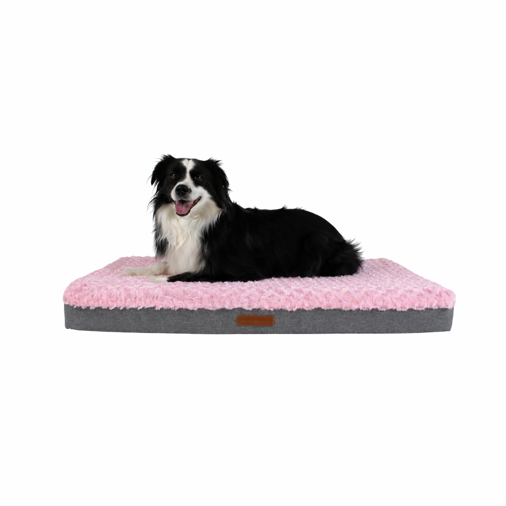 Cama Ortopédica
