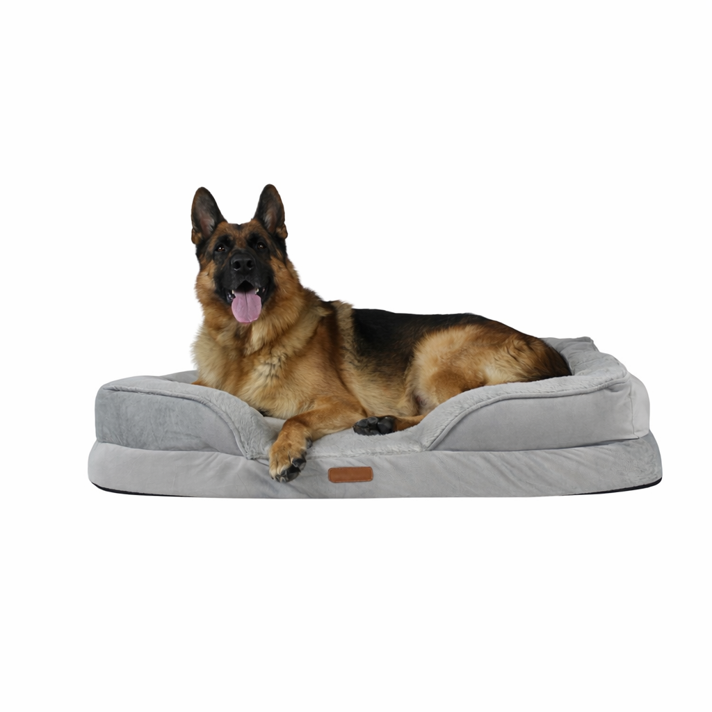 Cama Ortopédica con Borde