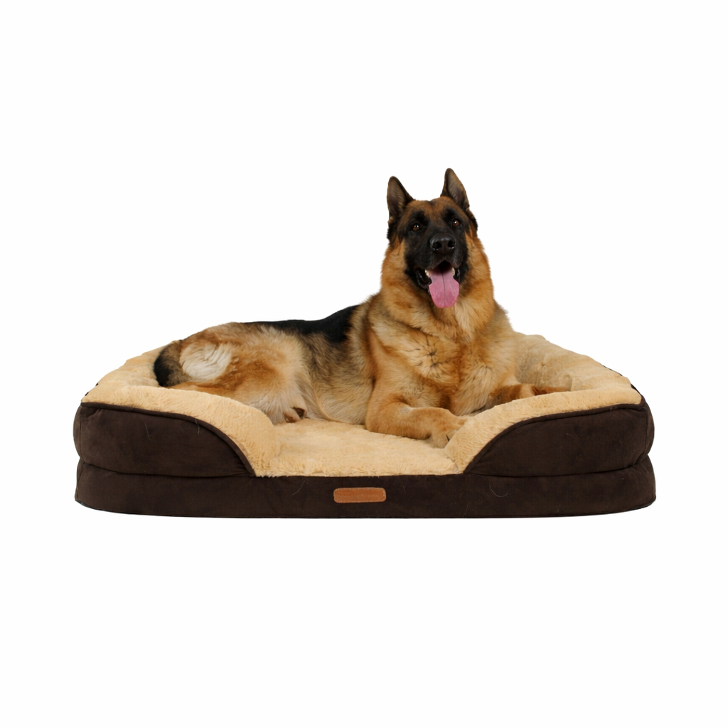 Cama Ortopédica con Borde