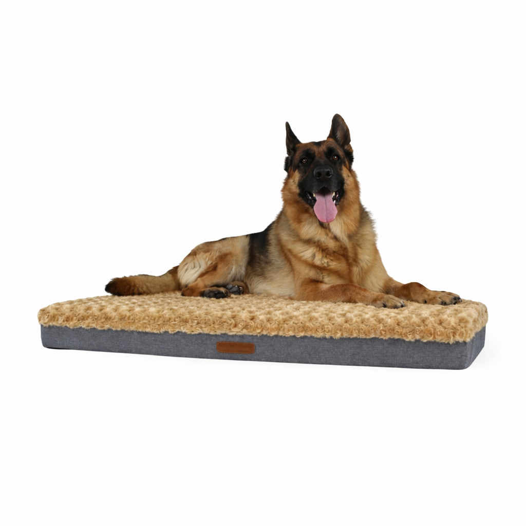 Cama Ortopédica
