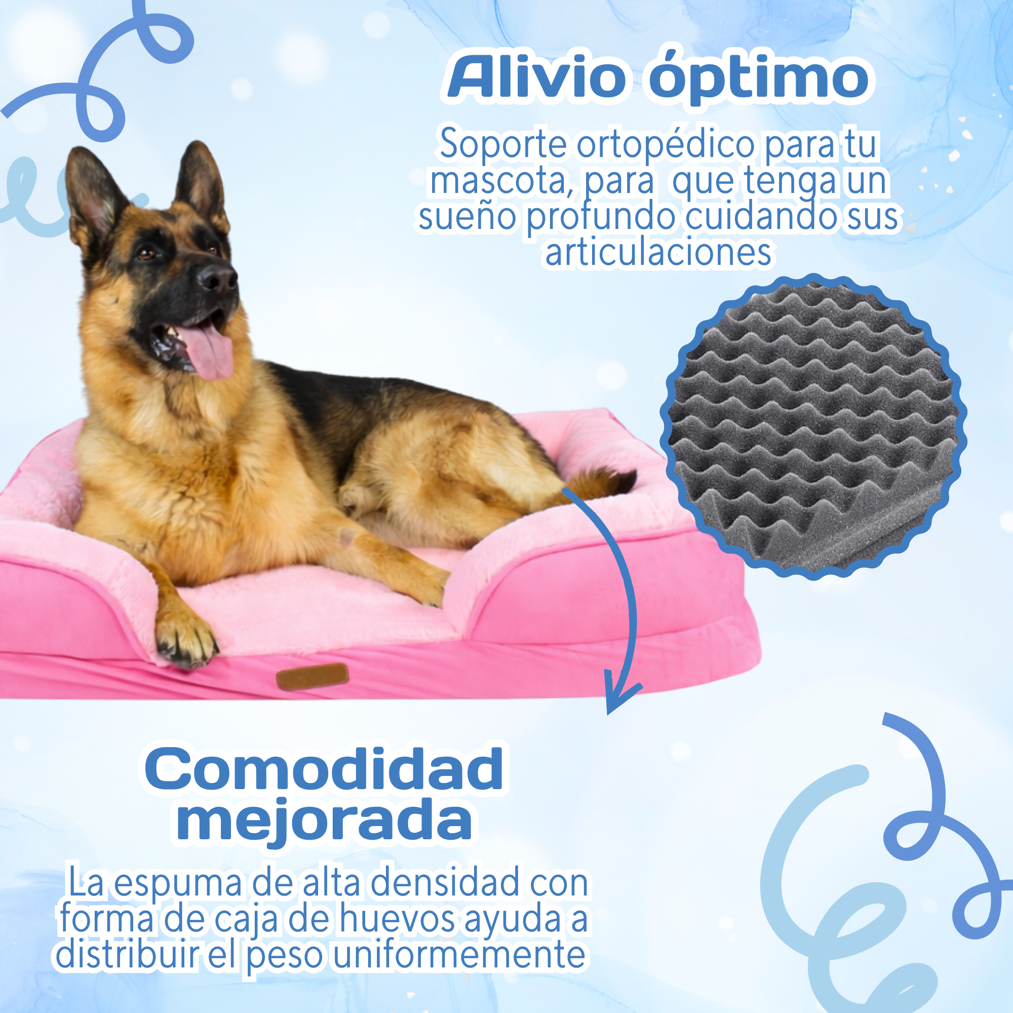Cama Ortopédica con Borde