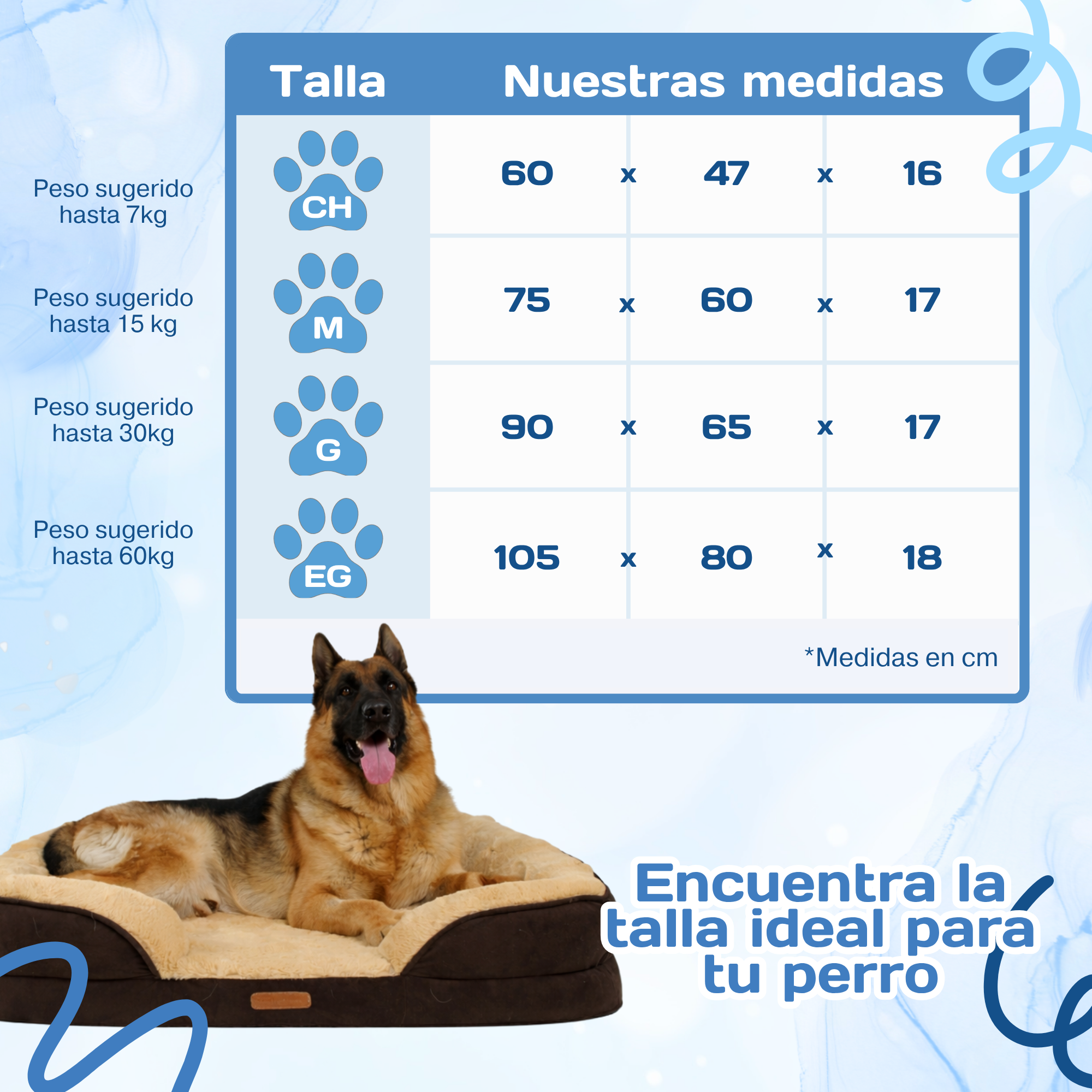 Cama Ortopédica con Borde