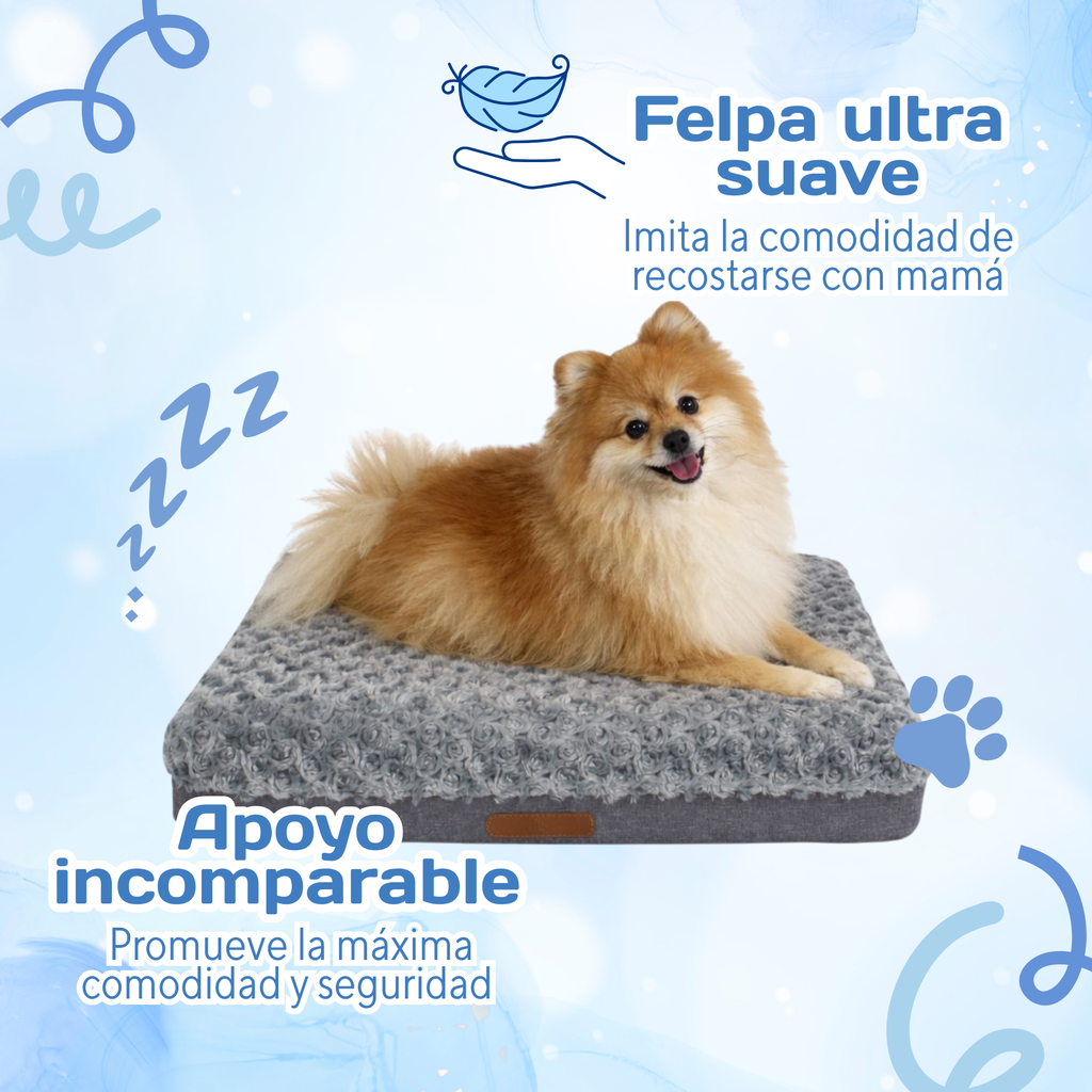 Cama Ortopédica