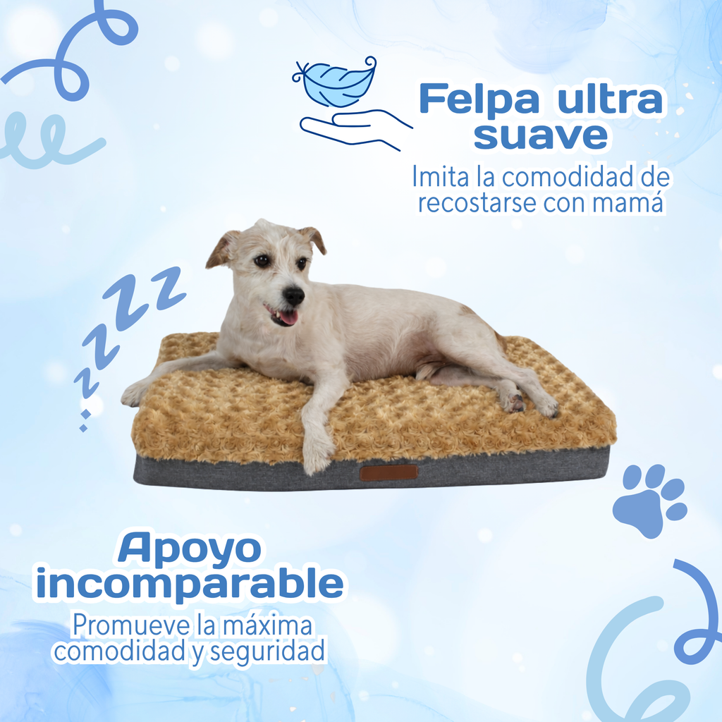 Cama Ortopédica