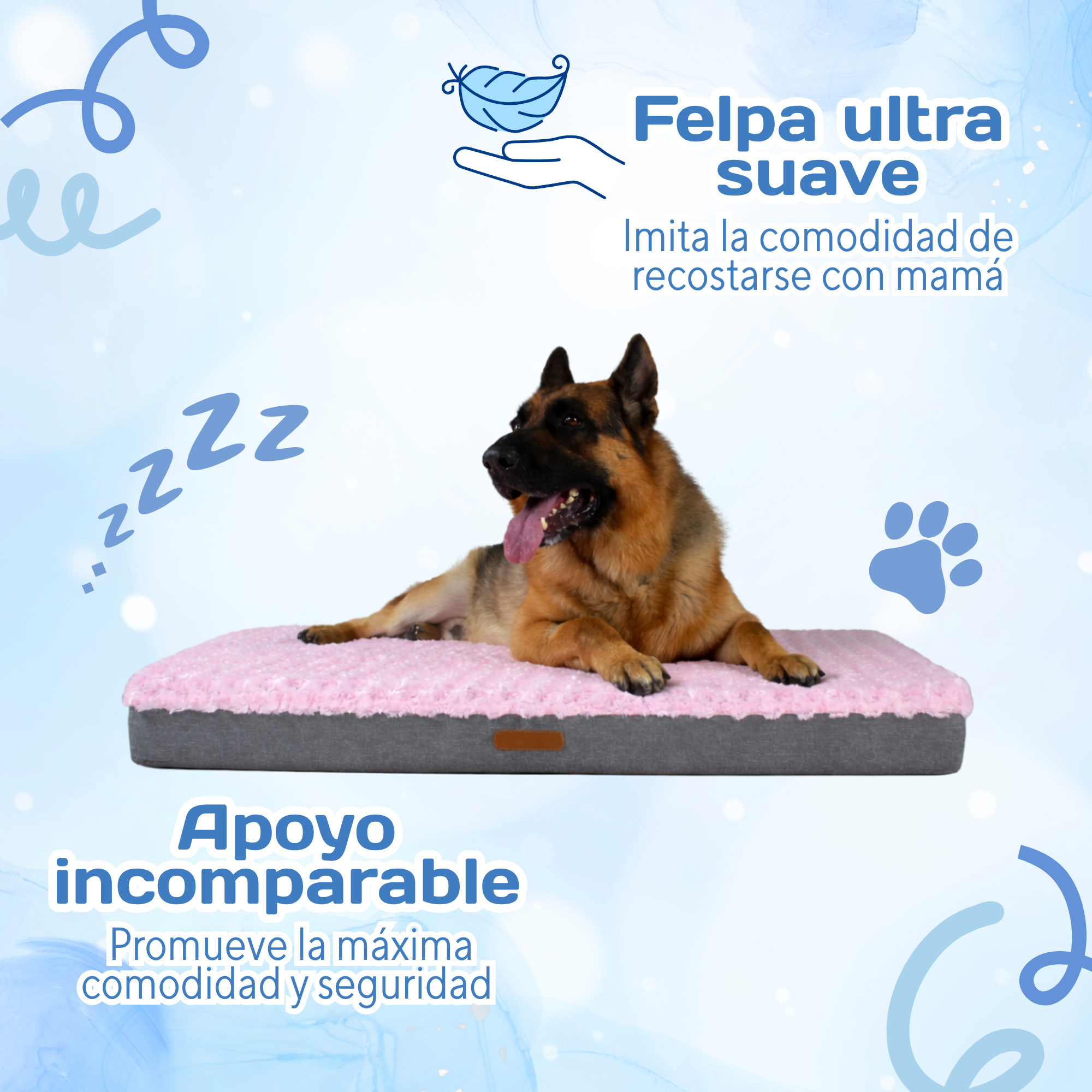 Cama Ortopédica
