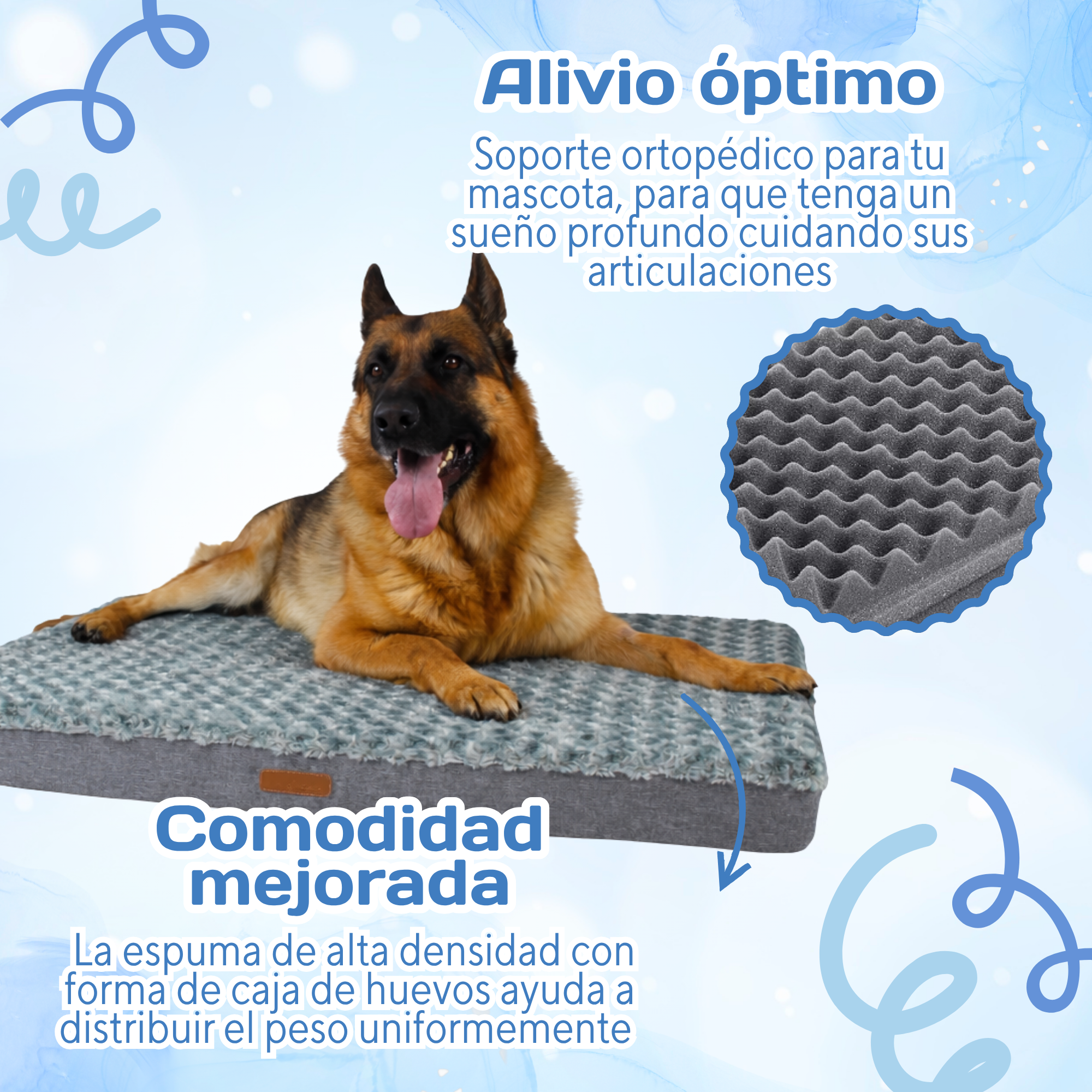 Cama Ortopédica