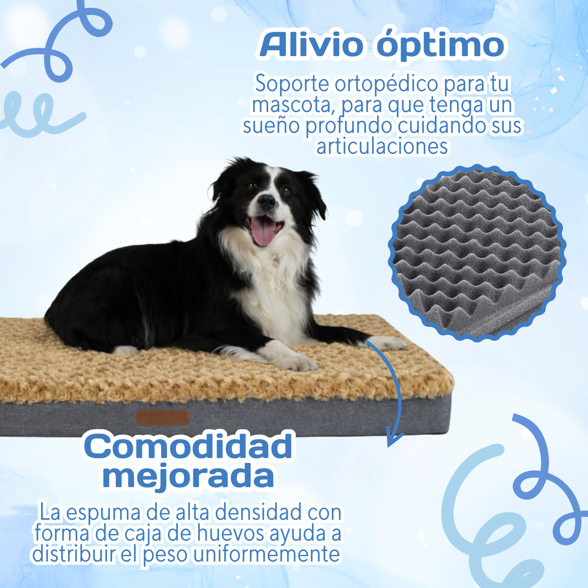 Cama Ortopédica