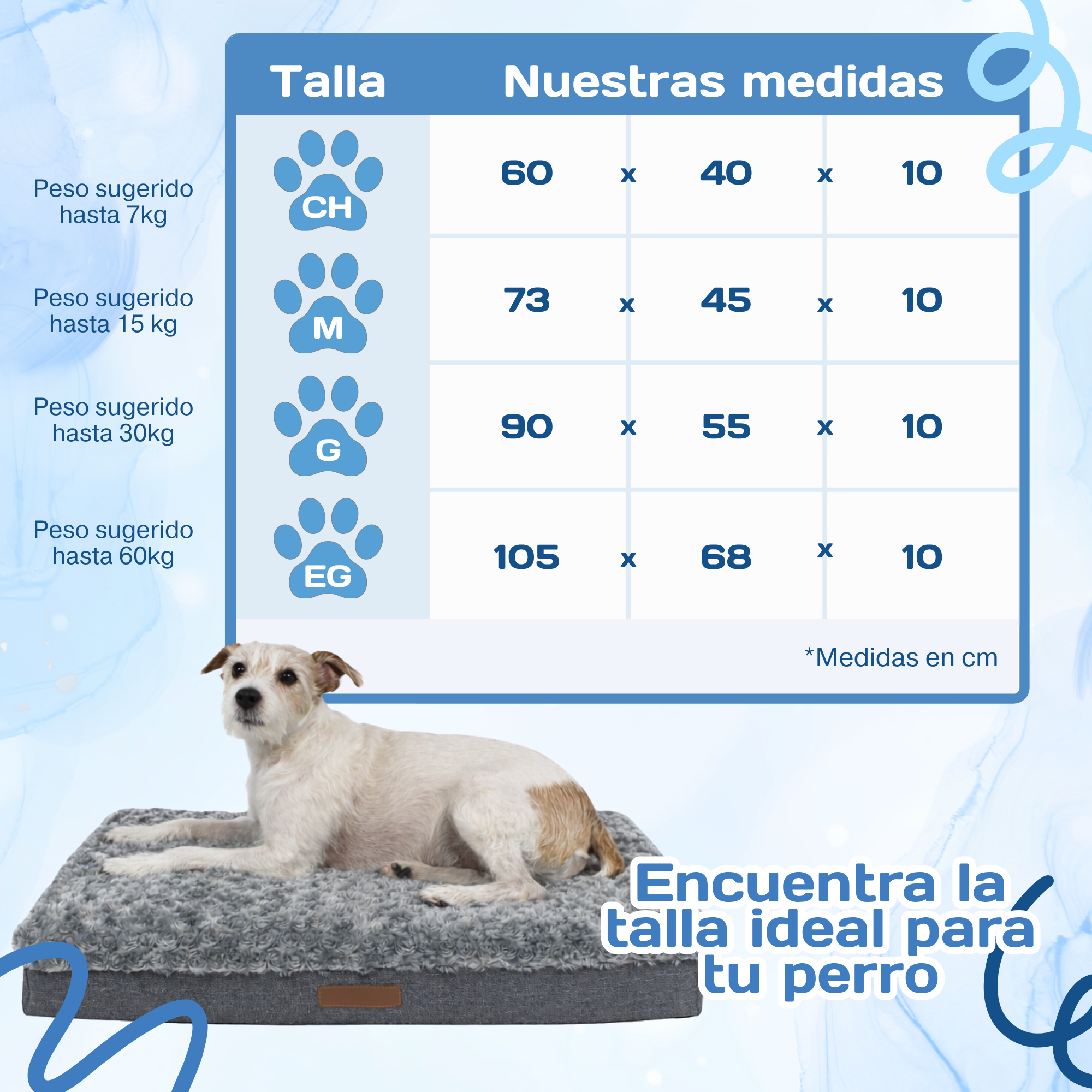 Cama Ortopédica