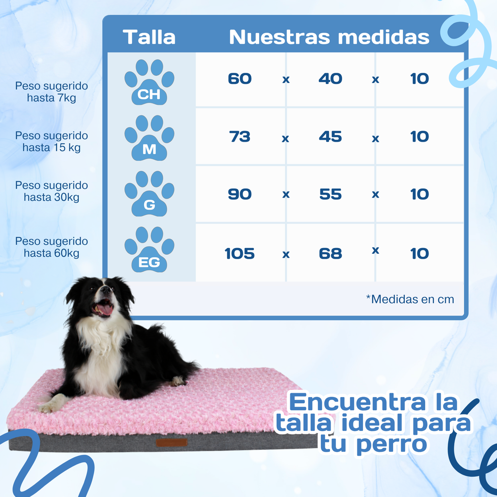 Cama Ortopédica