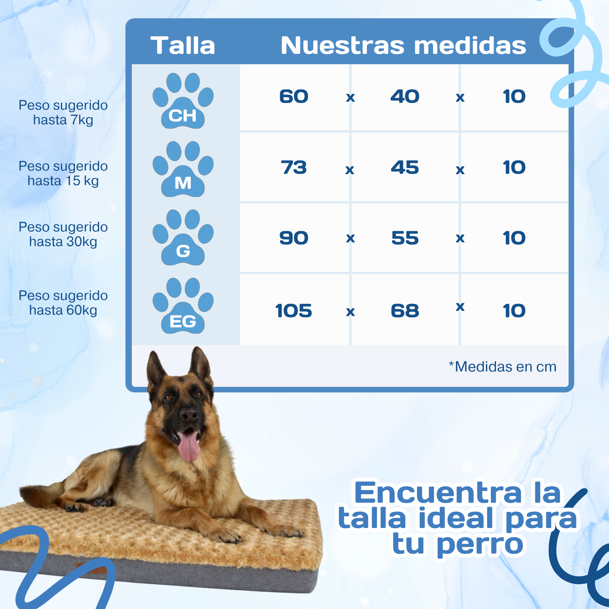 Cama Ortopédica