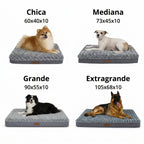 Cama Ortopédica