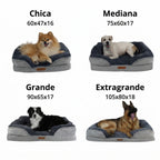 Cama Ortopédica con Borde